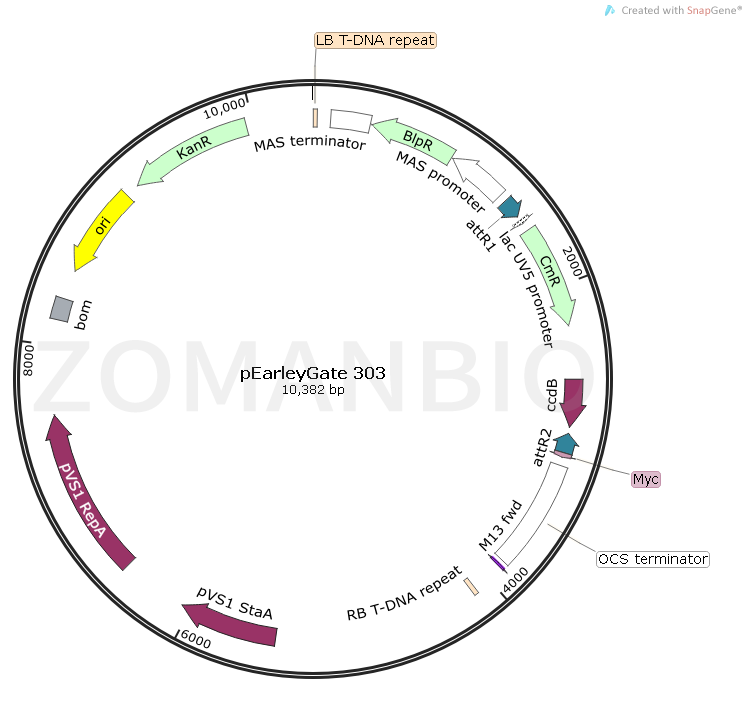 ZK1806 pEarleyGate 303.png