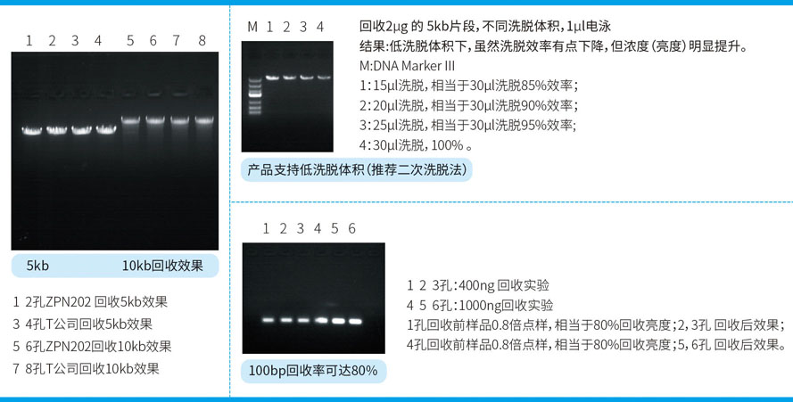 微柱膠回促銷 官網.jpg